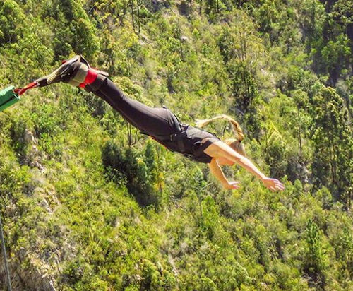 bungee africa