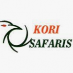 Kori Safaris