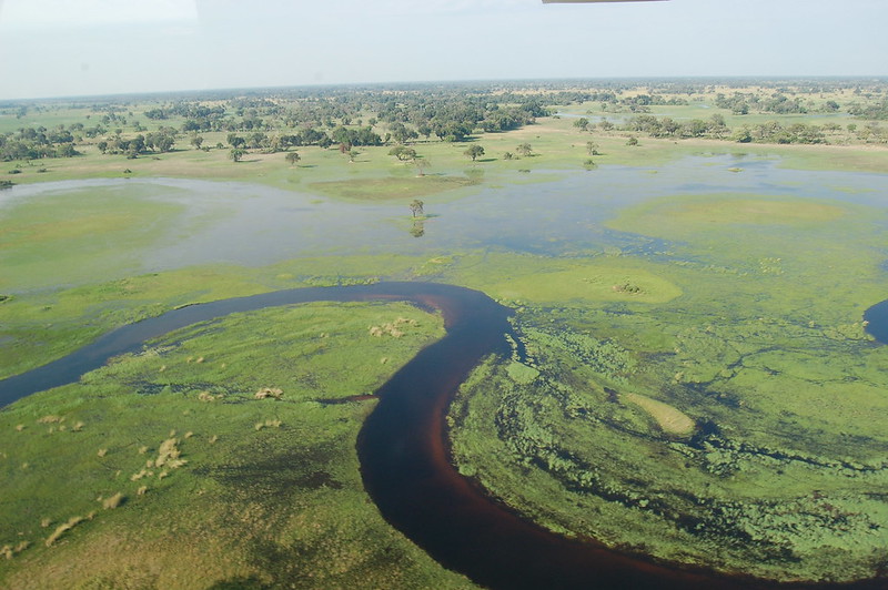 okavango delta botswana